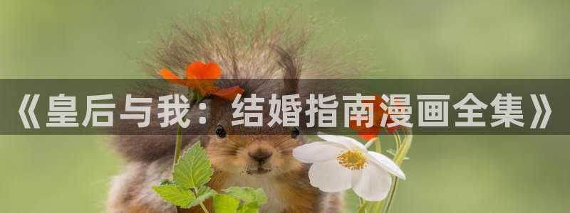 人鱼陷落包子漫画免费漫画入口：《皇后与我：结婚指南漫画全集》