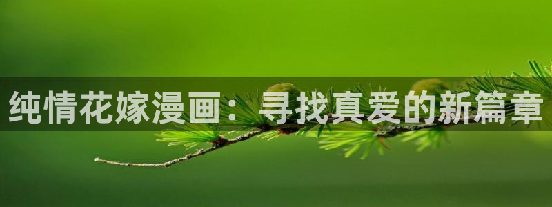 韩漫包子漫画：纯情花嫁漫画：寻找真爱的新篇章