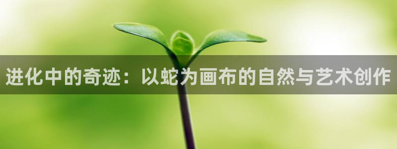 包子漫画软件：进化中的奇迹：以蛇为画布的自然与艺术创作